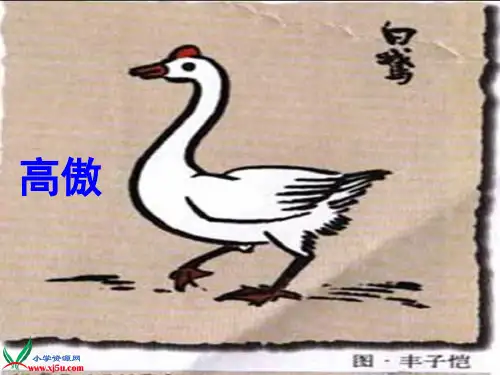 使用白公鹅(完整课件)