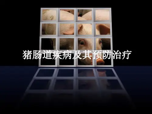 猪肠道疾病及其预防治疗
