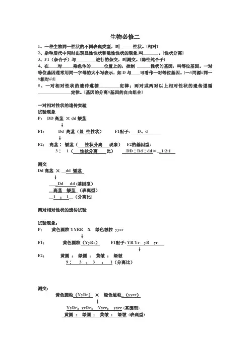 高中生物必修2遗传与进化知识点总结