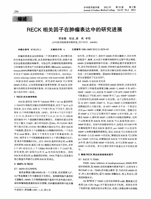 RECK相关因子在肿瘤表达中的研究进展