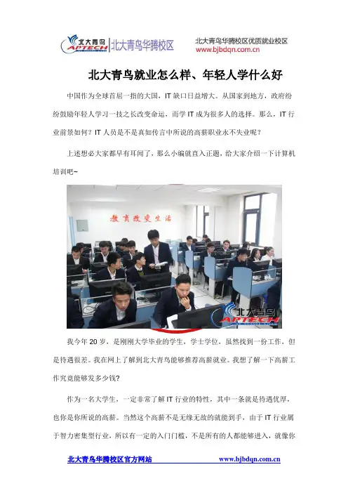 北大青鸟就业怎么样、年轻人学什么好