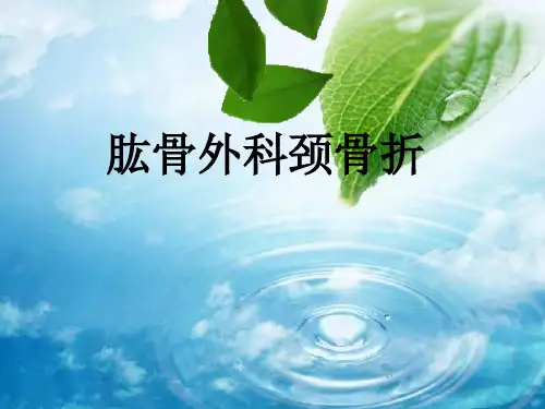 《肱骨外科颈骨折》PPT课件