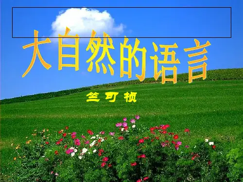 大自然PPT课件