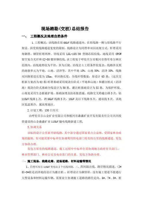 现场踏勘总结报告模板