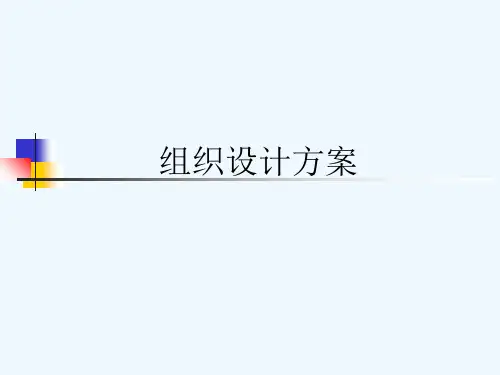 纺织企业组织设计方案