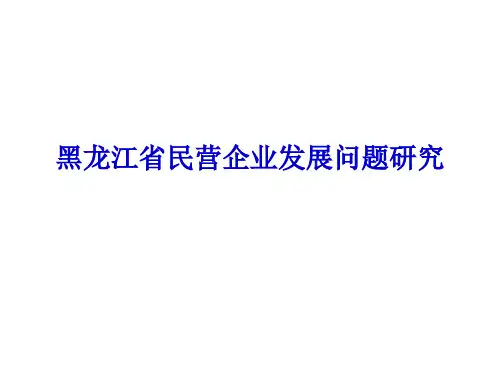 黑龙江省民营企业发展问题研究