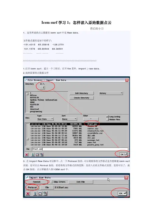 Icem surf学习1