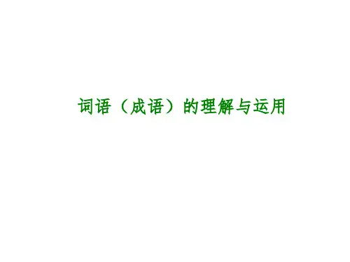 中考语文专题复习PPT课件2：词语(成语)的理解与运用