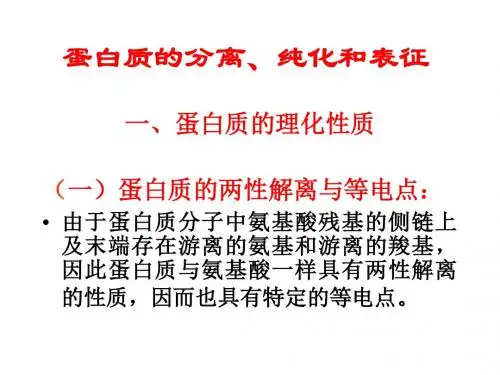 蛋白质的分离、纯化和表征