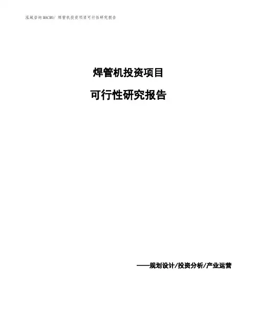 (案例)焊管机投资项目可行性研究报告