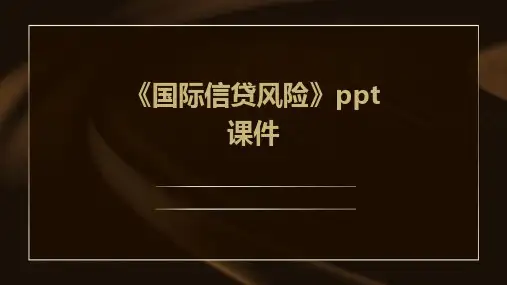 《国际信贷风险》课件