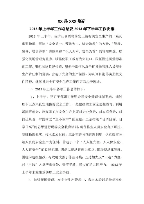 2013年上半年工作总结及2013年下半年工作安排
