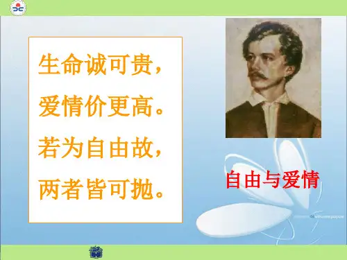 教学课件：我愿意是激流 2