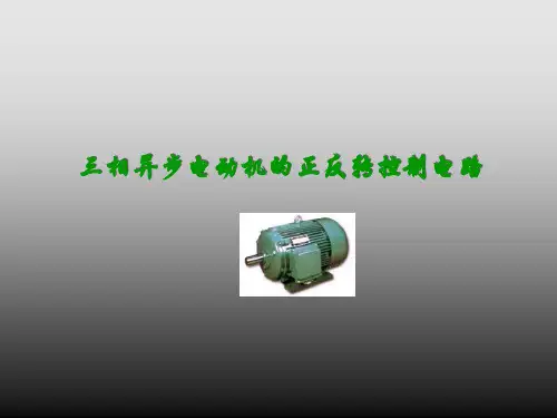 三相异步电动机正反转控制电路要点精品PPT课件