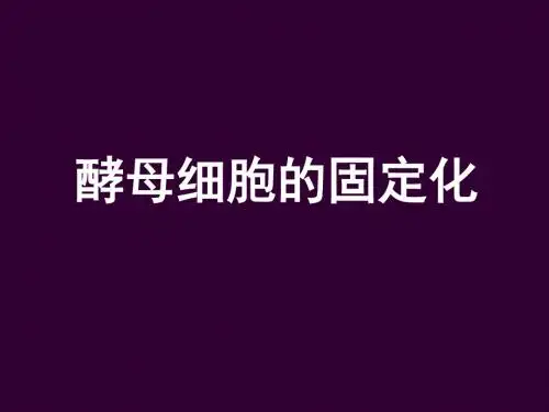 酵母细胞的固定化
