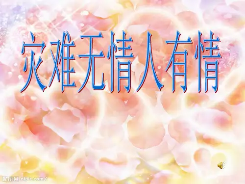 灾害无情人有情PPT课件