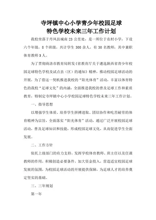 寺坪镇中心小学青少年足球特色学校未来三年工作计划