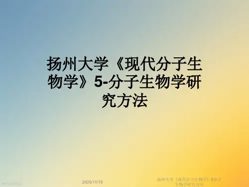 扬州大学《现代分子生物学》5分子生物学研究方法