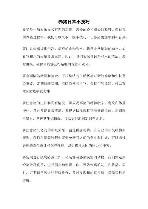 养猪日常小技巧