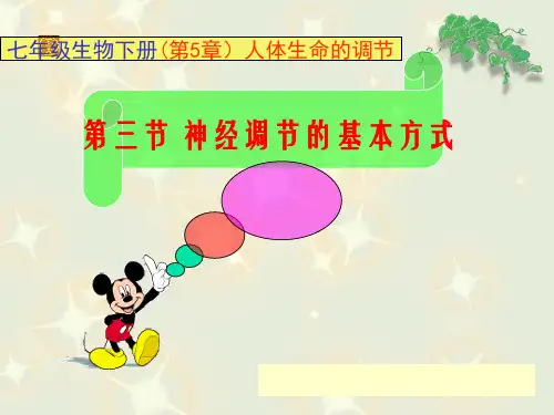 神经调节的基本方式(第一课时)