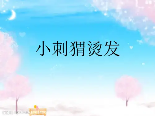 小刺猬烫发