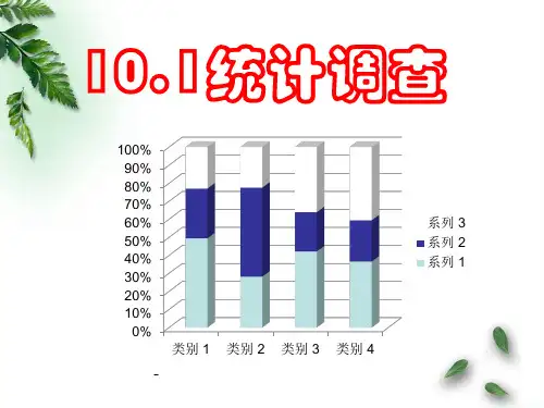 10.1.1统计调查—全面调查