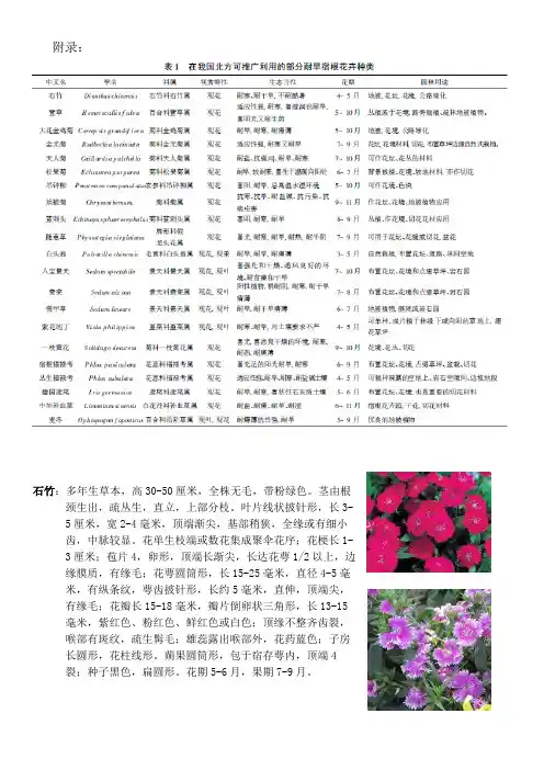 北方宿根花卉