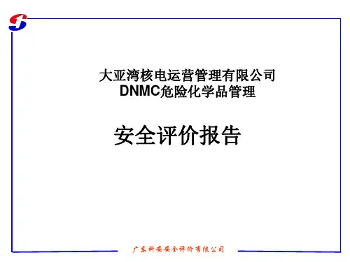 大亚湾核电站危险化学品安全评价报告