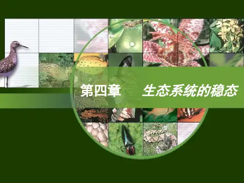 生态系统的结构-公开课-PPT