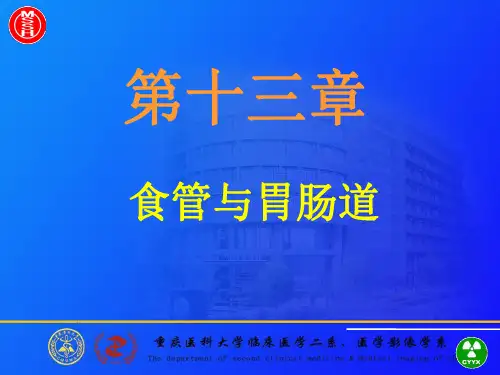医学影像-食管与胃肠道的影像诊断