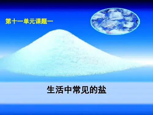 生活中常见的盐课件