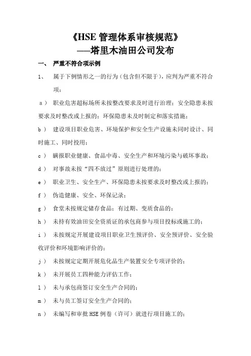 油田公司HSE管理体系审核规范
