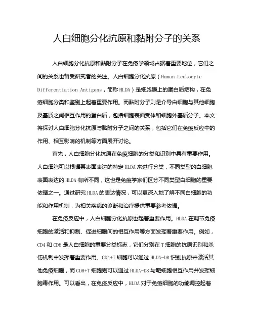 人白细胞分化抗原和黏附分子的关系