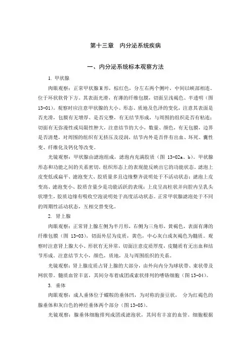 第十三章 内分泌系统疾病