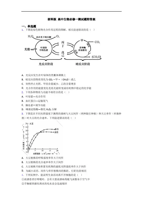 浙科版 高中生物必修一测试题附答案