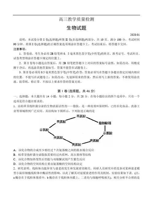 山东省青岛市2020届高三上学期期末考试生物(含答案)