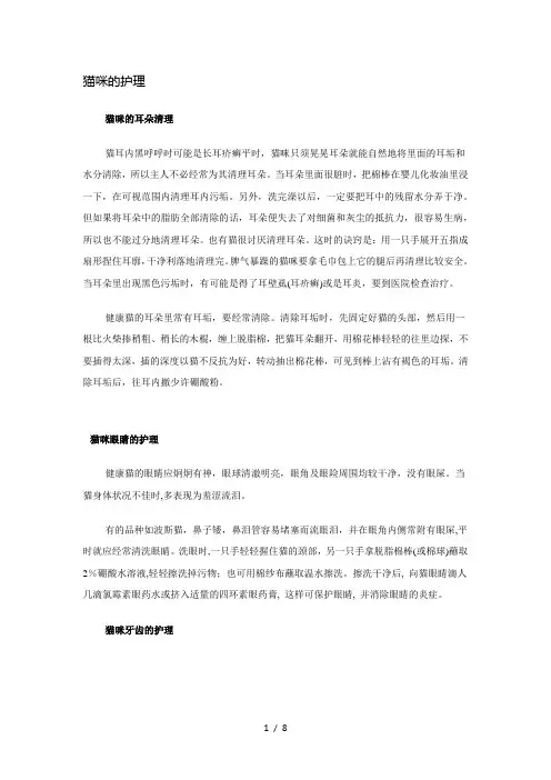 猫咪的护理