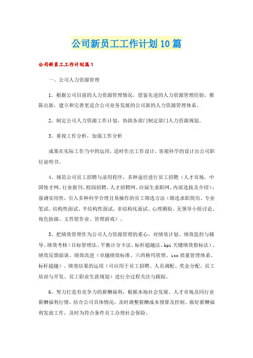 公司新员工工作计划10篇