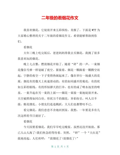 二年级的看烟花作文