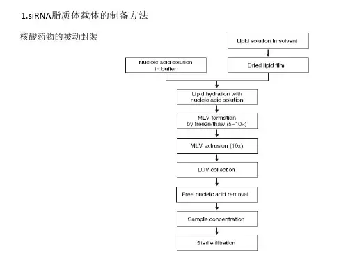 组会之siRNA nano 的制备