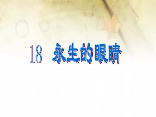 18.永生的眼睛(完美版)