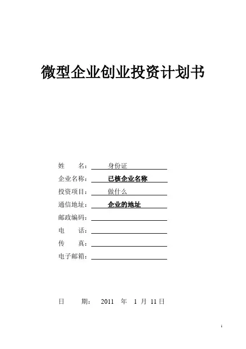 微型企业创业投资计划书详细版