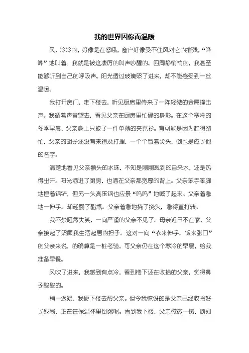 初三作文：我的世界因你而温暖作文800字