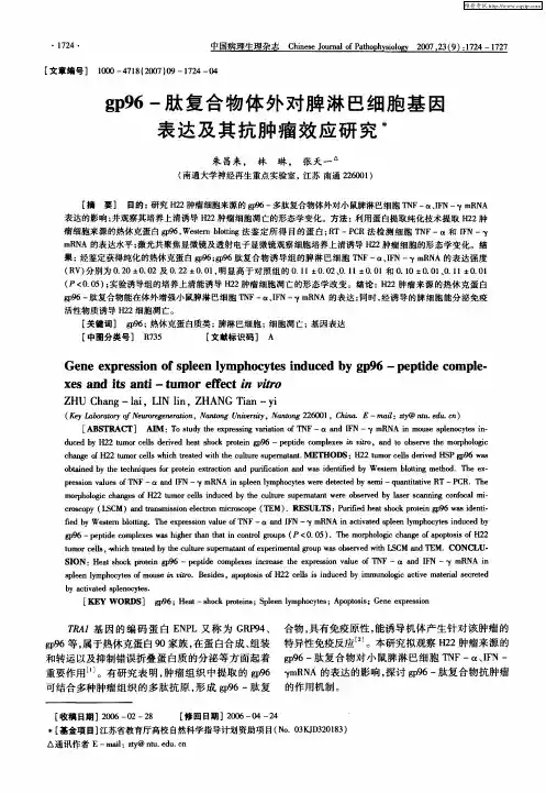 gp96-肽复合物体外对脾淋巴细胞基因表达及其抗肿瘤效应研究