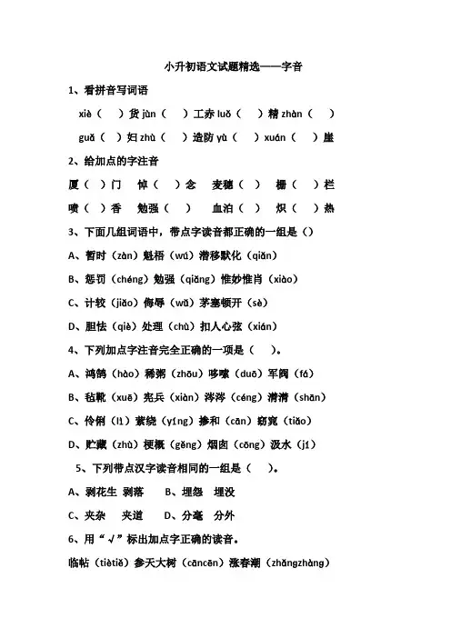 小升初语文试题精选——字音