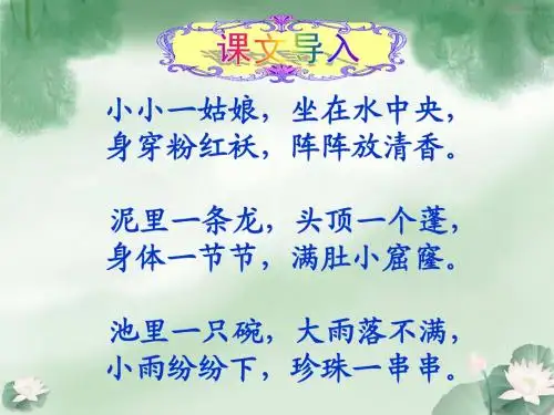 莲文化的魅力(课件)