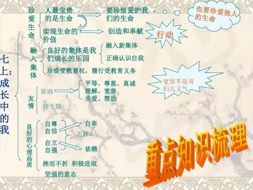 七上复习好