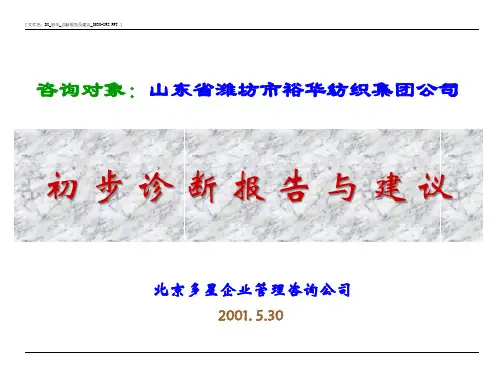 初步诊断报告与建议
