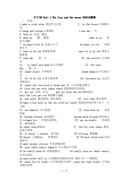 译林牛津英语6B知识点