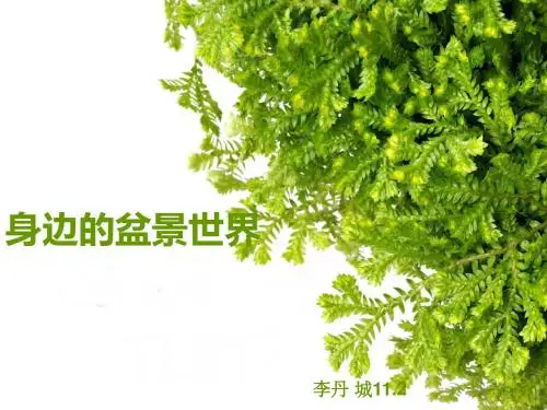 身边的盆景世界(李丹)